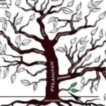 Ilustrim nga një postim në Facebook që e vendos pellazgjishten në qendër të gjuhëve indoeuropiane