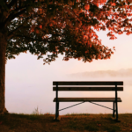 Foto nga Aaron Burden, në qytetin Fenton, Michigan, SHBA. Burimi Unsplash.com