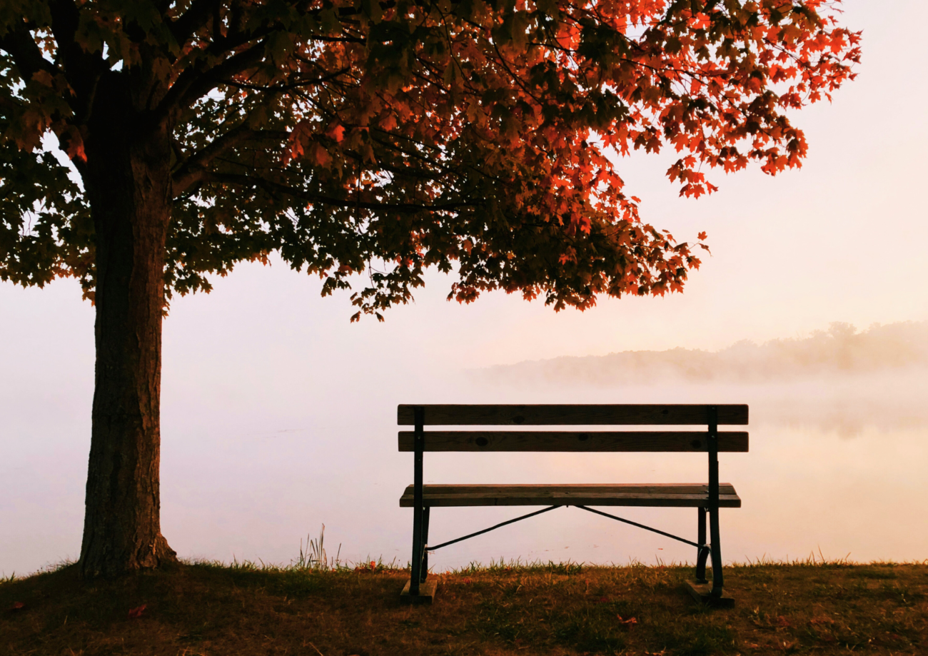 Foto nga Aaron Burden, në qytetin Fenton, Michigan, SHBA. Burimi Unsplash.com