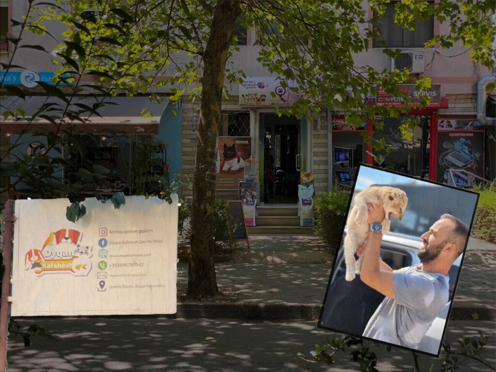 Illustration for the pet shop, Golem Dog Farm”. The sign in Golem and the shop in Tirana, together with the owner holding a lion cub. Photos and graphics: Amfora Media
