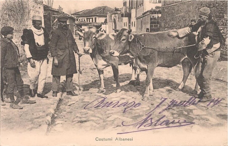 Kartolinë e Durrësit e vitit 1914. Në qendër sipër, dallohet porta e banesës së Familjes Nushi