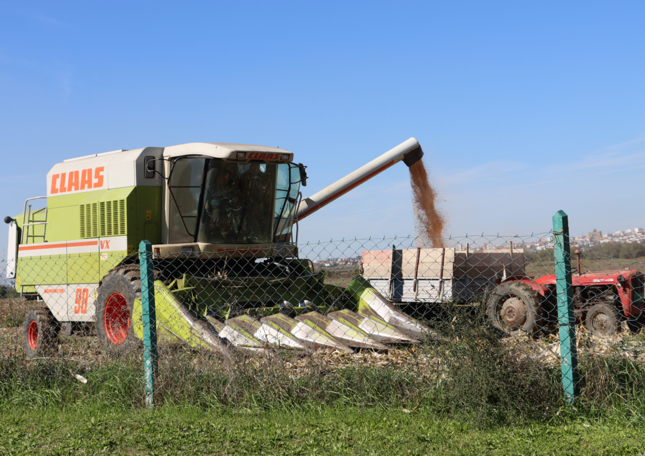 Autokombajnë gjatë procesit të punës. Foto Media Amfora