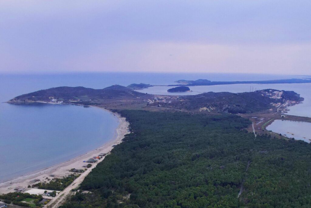 Pylli bregdetar i Pishë Poros formon një brez natyror që ndan lagunën nga Deti Adriatik. Foto: Media Amfora