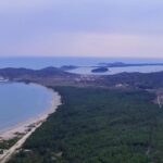 Pylli bregdetar i Pishë Poros formon një brez natyror që ndan lagunën nga Deti Adriatik. Foto: Media Amfora