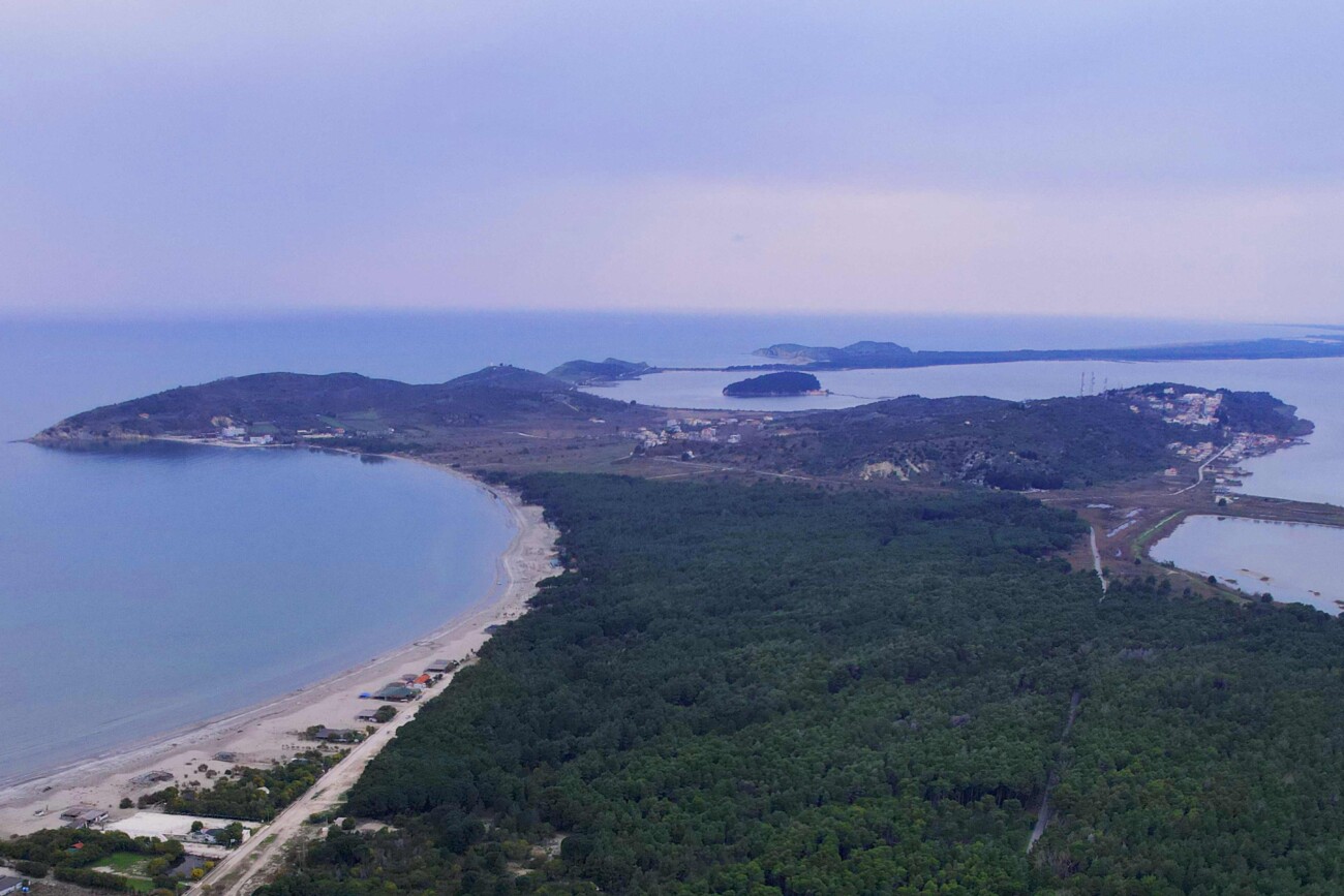 Pylli bregdetar i Pishë Poros formon një brez natyror që ndan lagunën nga Deti Adriatik. Foto: Media Amfora