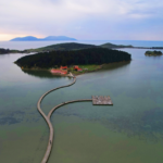 Pylli bregdetar i Pishë Poros formon një brez natyror që ndan lagunën nga Deti Adriatik. Foto: Media Amfora