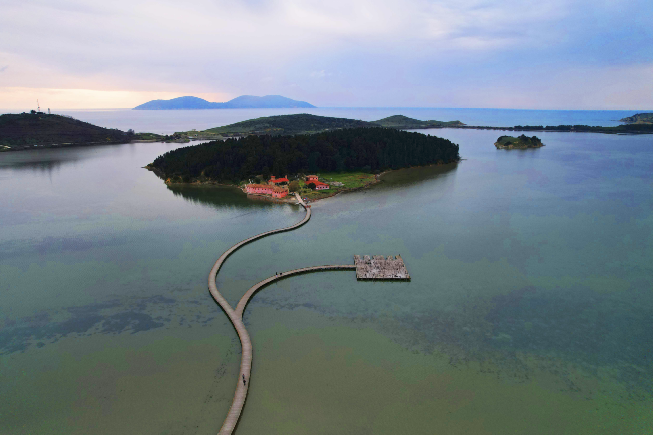 Pylli bregdetar i Pishë Poros formon një brez natyror që ndan lagunën nga Deti Adriatik. Foto: Media Amfora